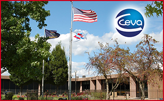 Ceva Externship Experience Receives Positive Feedback, Open to New Opportunities