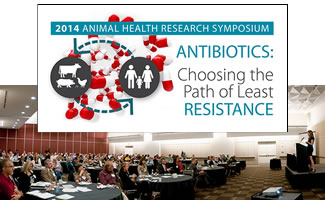 KCALSI to Host Animal Health Research Symposium,  “Antibiotics: Choosing the Path of Least Resistance”