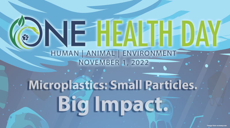 KC One Health Day: Microplastics: Small Particles. Big Impact.