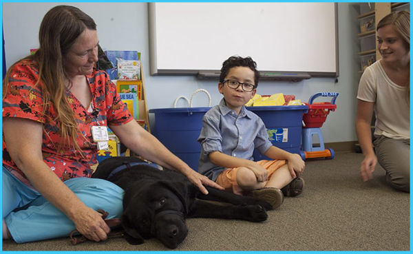 MU Study Finds Therapy Dogs Aren’t Always the Answer 